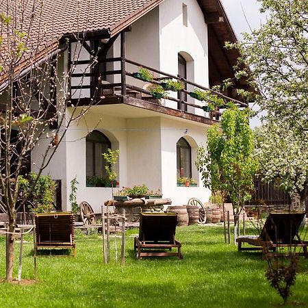 Casa Mosului - Transfagarasan Bed & Breakfast Cîrţişoara Eksteriør billede