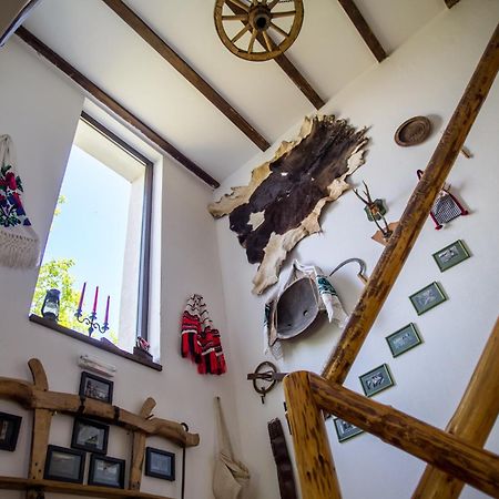 Casa Mosului - Transfagarasan Bed & Breakfast Cîrţişoara Eksteriør billede