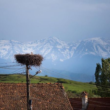 Casa Mosului - Transfagarasan Bed & Breakfast Cîrţişoara Eksteriør billede