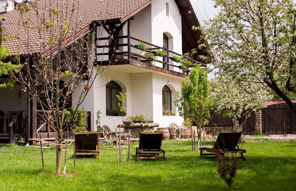 Casa Mosului - Transfagarasan Bed & Breakfast Cîrţişoara Eksteriør billede