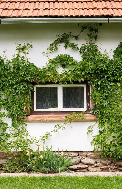 Casa Mosului - Transfagarasan Bed & Breakfast Cîrţişoara Eksteriør billede