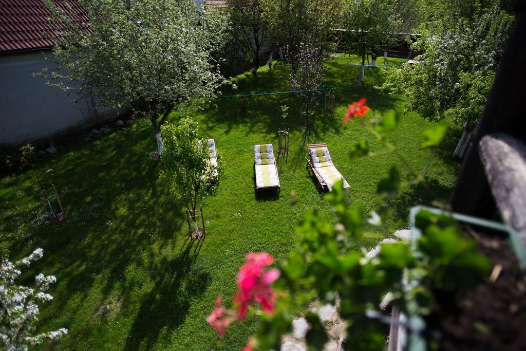 Casa Mosului - Transfagarasan Bed & Breakfast Cîrţişoara Eksteriør billede