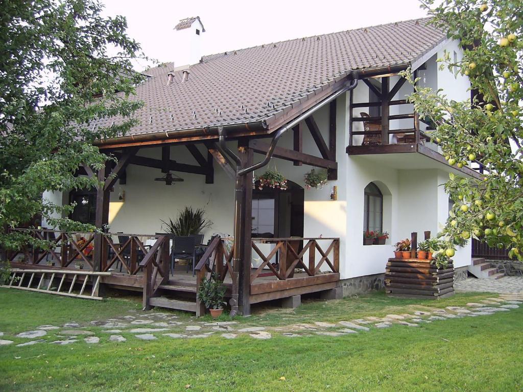 Casa Mosului - Transfagarasan Bed & Breakfast Cîrţişoara Eksteriør billede