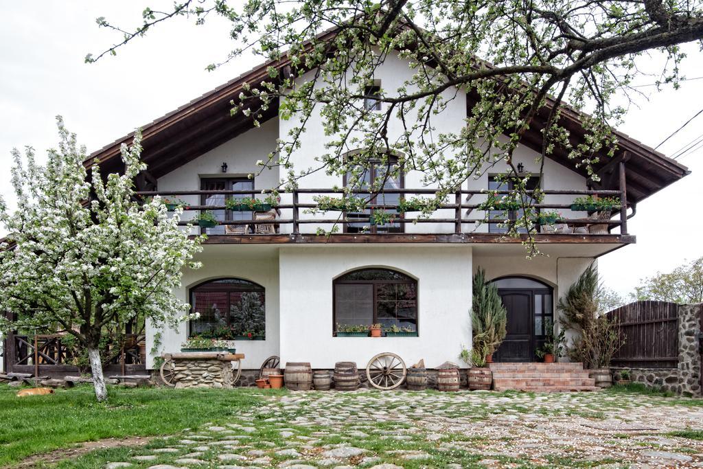 Casa Mosului - Transfagarasan Bed & Breakfast Cîrţişoara Eksteriør billede