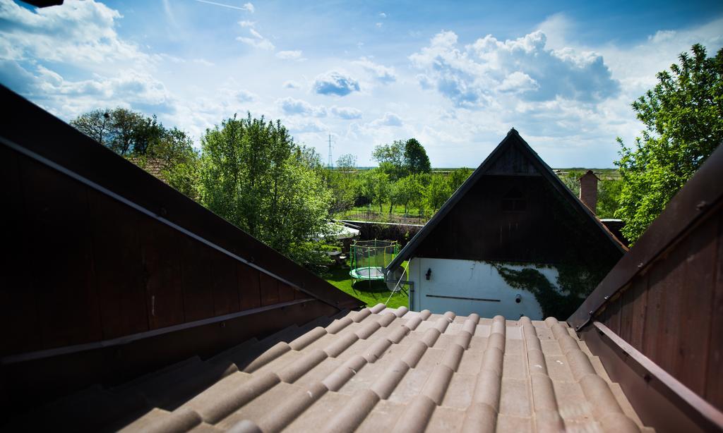 Casa Mosului - Transfagarasan Bed & Breakfast Cîrţişoara Eksteriør billede