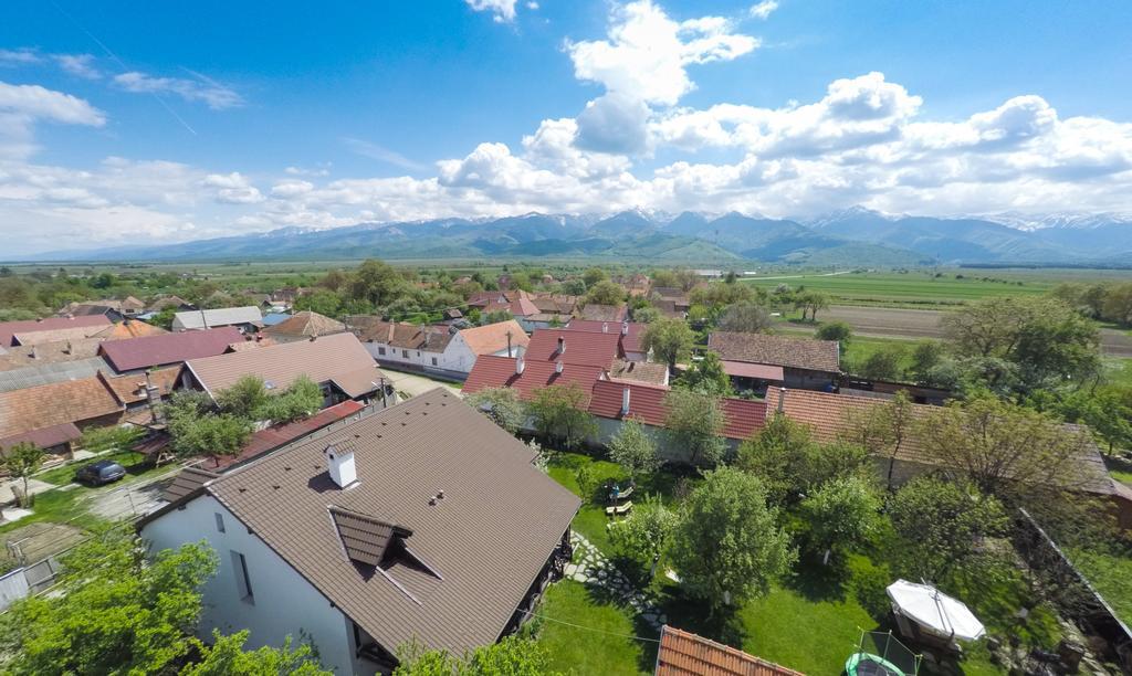 Casa Mosului - Transfagarasan Bed & Breakfast Cîrţişoara Eksteriør billede
