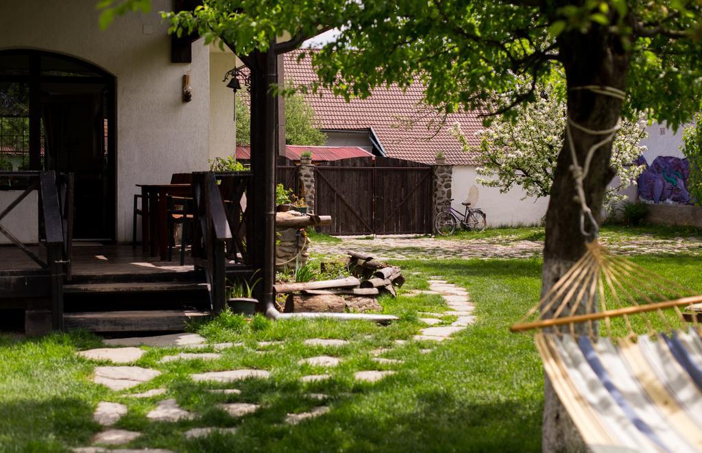 Casa Mosului - Transfagarasan Bed & Breakfast Cîrţişoara Eksteriør billede