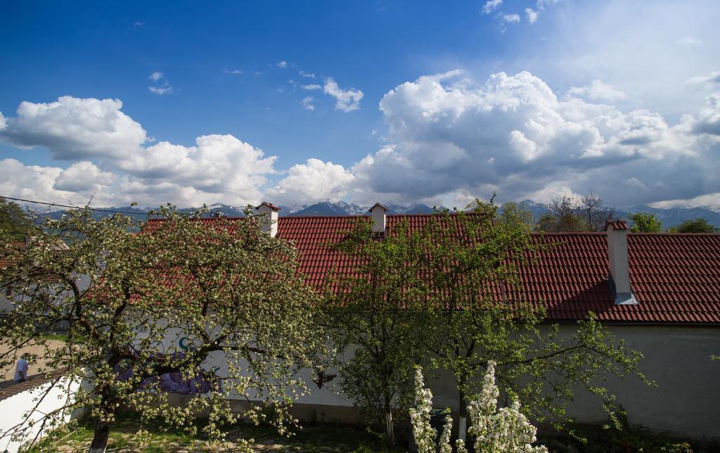 Casa Mosului - Transfagarasan Bed & Breakfast Cîrţişoara Eksteriør billede