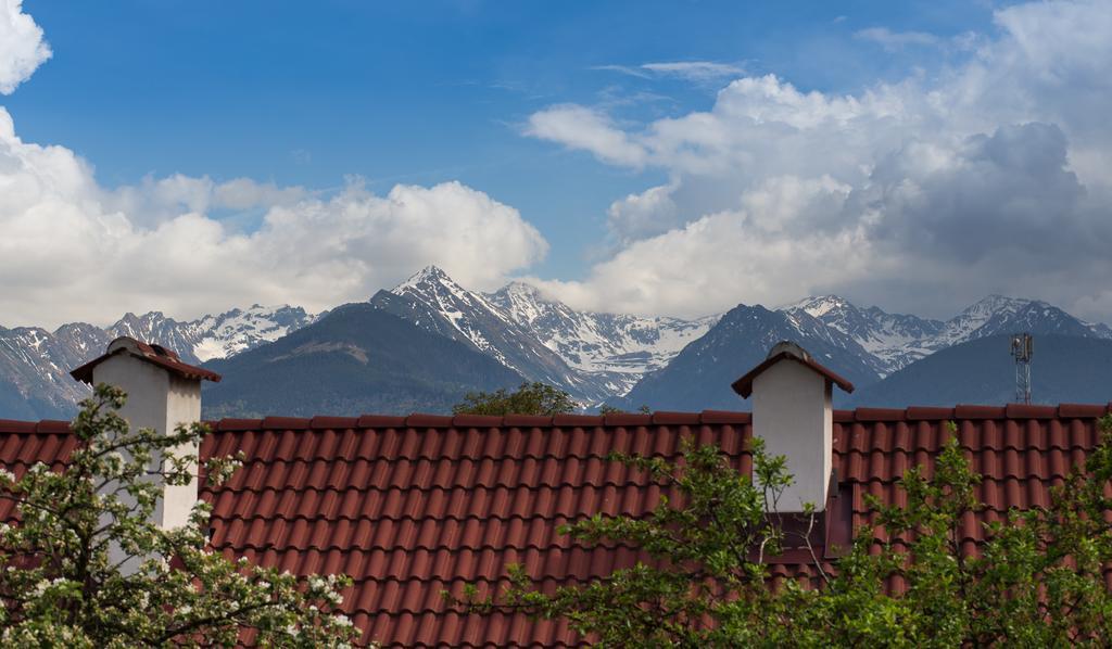 Casa Mosului - Transfagarasan Bed & Breakfast Cîrţişoara Eksteriør billede