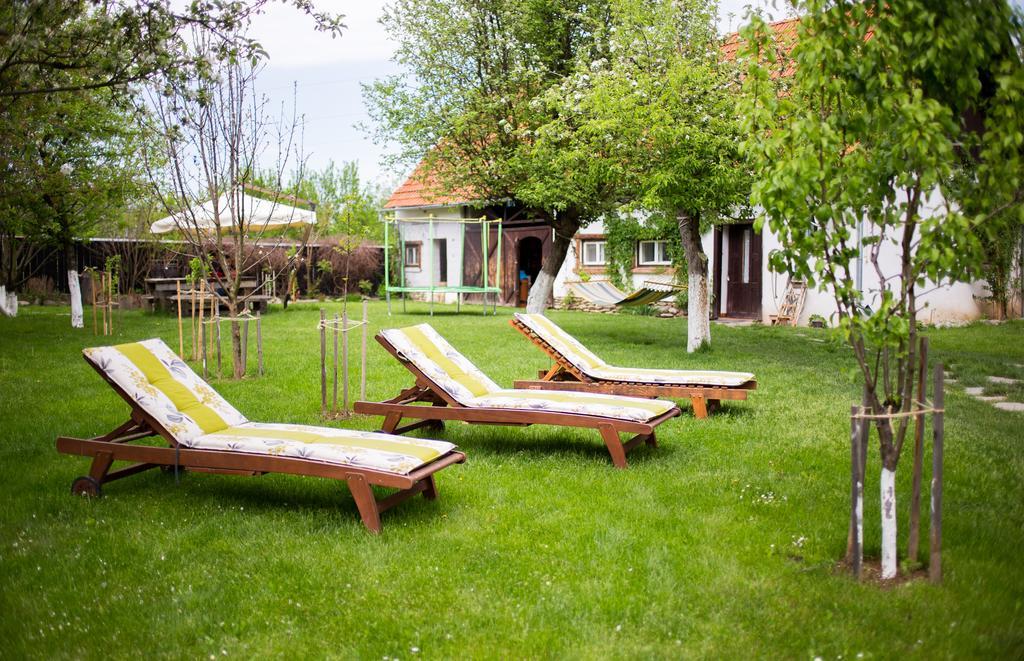 Casa Mosului - Transfagarasan Bed & Breakfast Cîrţişoara Eksteriør billede