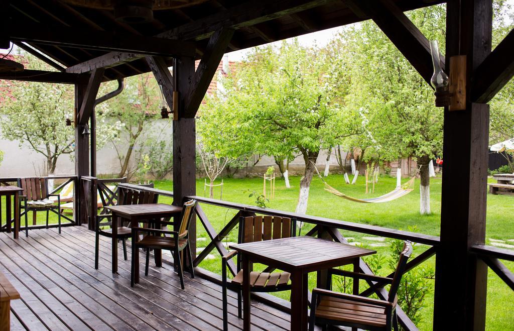 Casa Mosului - Transfagarasan Bed & Breakfast Cîrţişoara Eksteriør billede