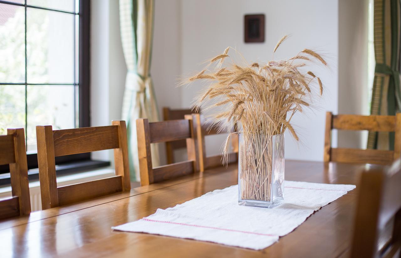 Casa Mosului - Transfagarasan Bed & Breakfast Cîrţişoara Eksteriør billede