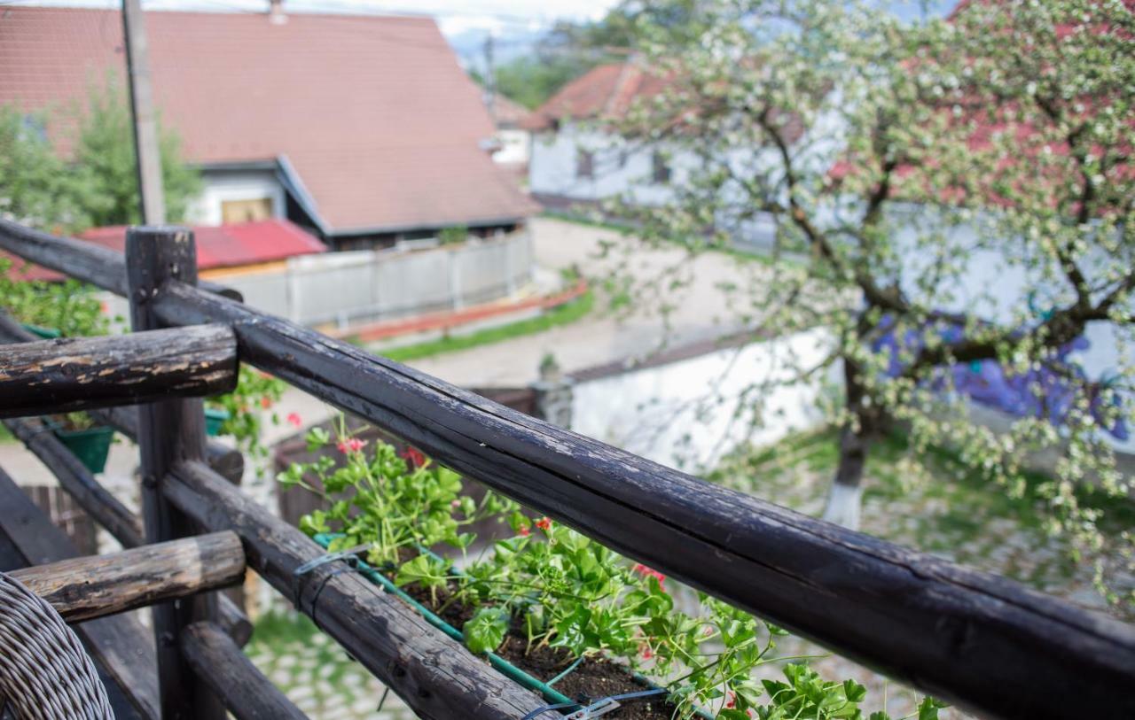 Casa Mosului - Transfagarasan Bed & Breakfast Cîrţişoara Eksteriør billede
